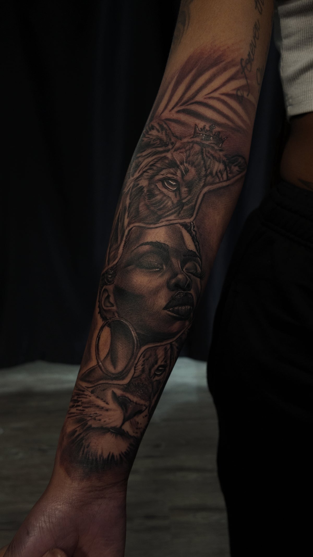 Portfolio artwork